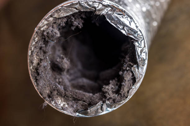 Best Local Air Duct Cleaning Services  in Lindsay, CA